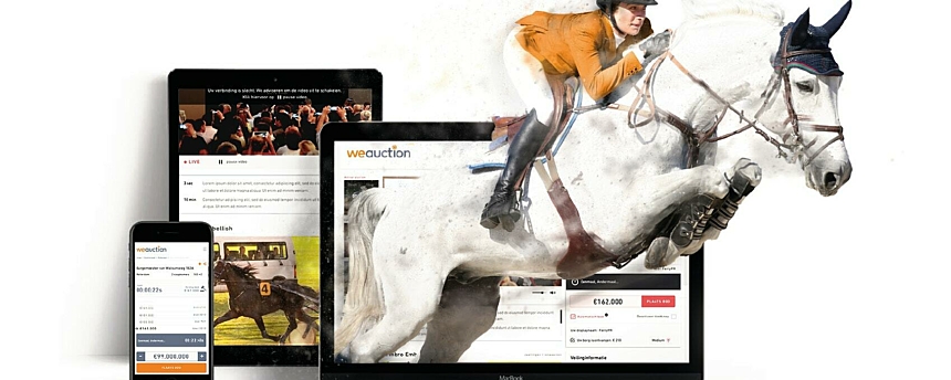 Horse PNG Horse PNG