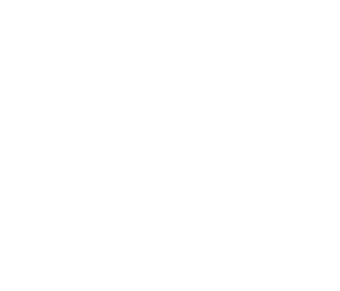 Bluehors Auction