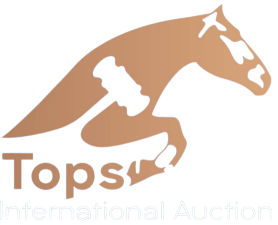 Stal Tops Auction